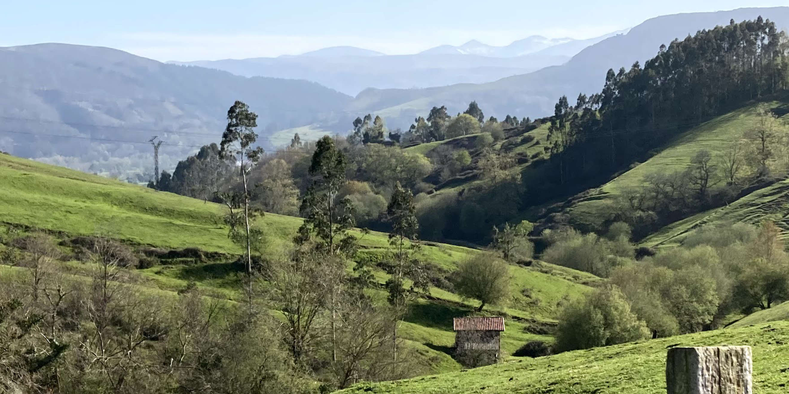 Carretera rural entre prados y montañas en el valle del Saja-Nansa, camino a Cabezón de la Sal