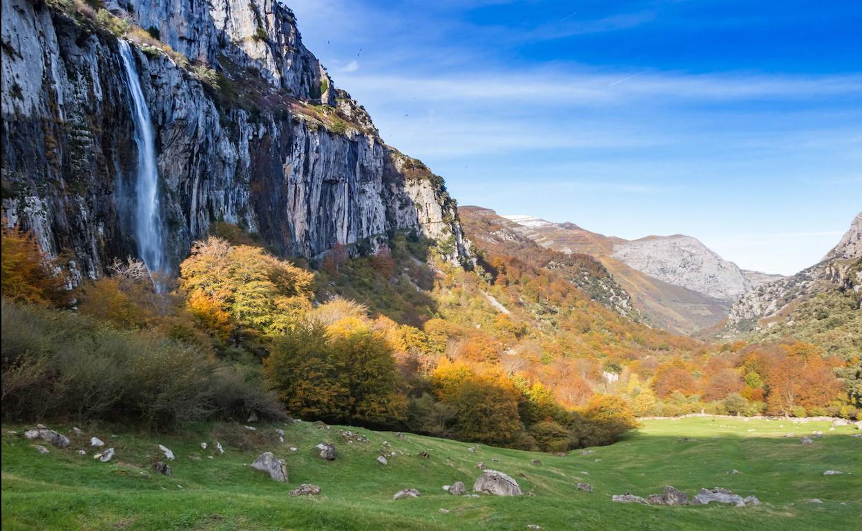 Bosque de hayas con colores de otoño en un valle de Cantabria