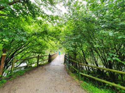 Sendero de bosque de ribera y hayedo junto al cauce del río Asón, luz filtrada entre los árboles.