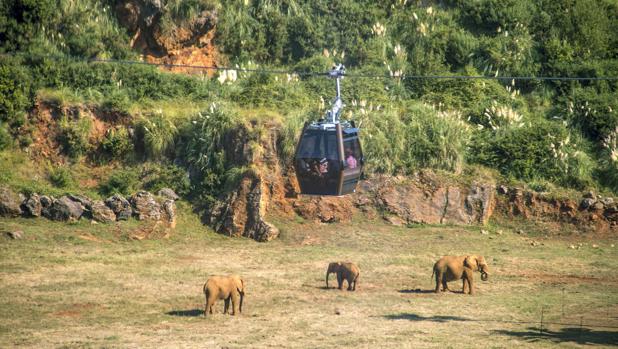 Teleférico cruzando uno de los valles del Parque Natural de Cabárceno