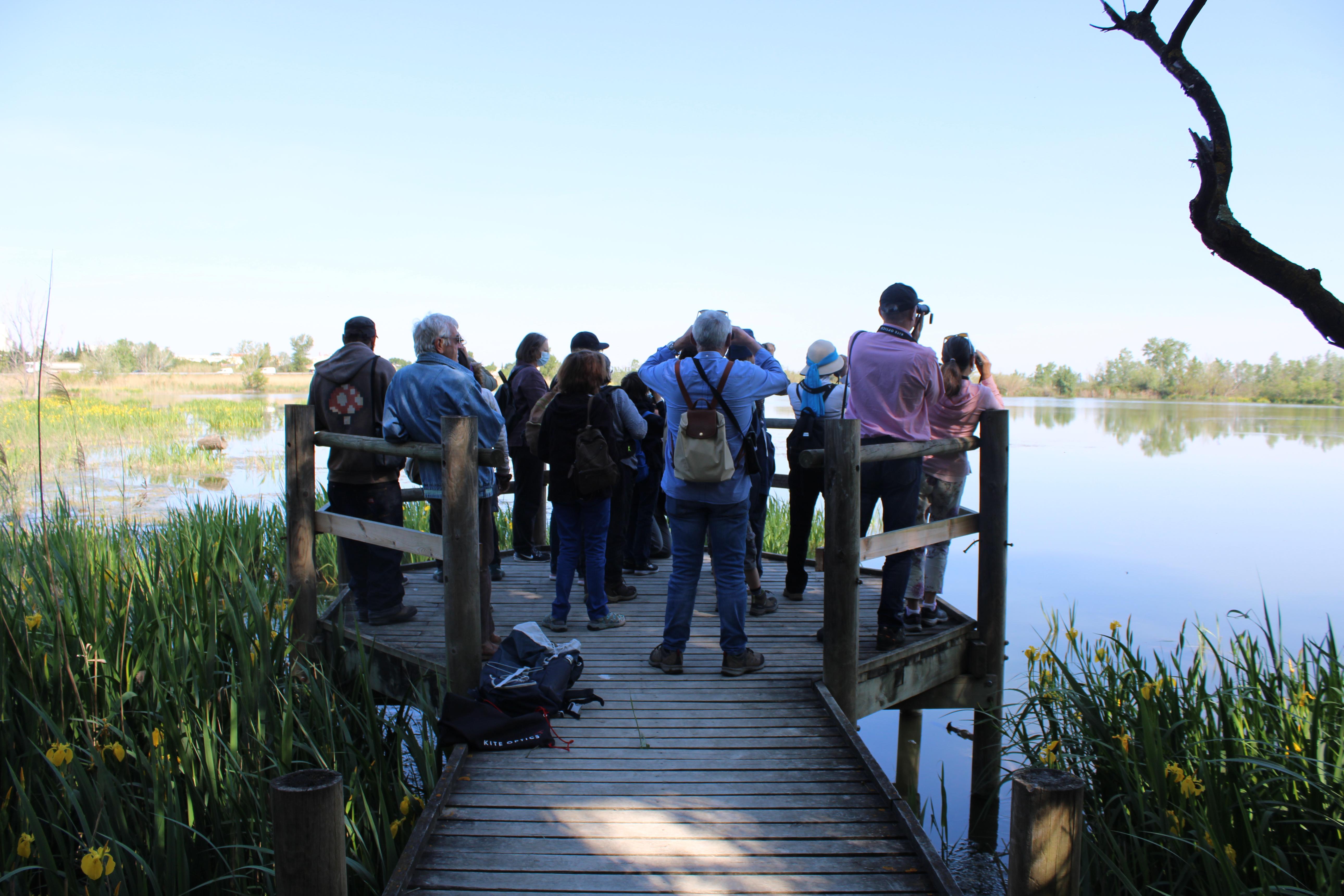 Grupo de personas con prismáticos observando aves desde un punto de observación en la marisma