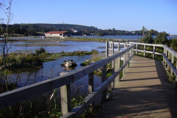 Sendero de tierra y pasarela de madera sobre la marisma del Ecoparque de Trasmiera, cerca del Faro de Ajo