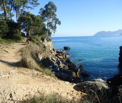 Tramo boscoso de la Ruta de la Costa de Noja justo antes de abrirse al acantilado