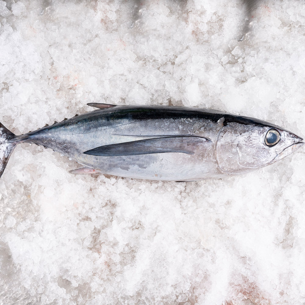Dónde comer el mejor bonito del norte en Cantabria