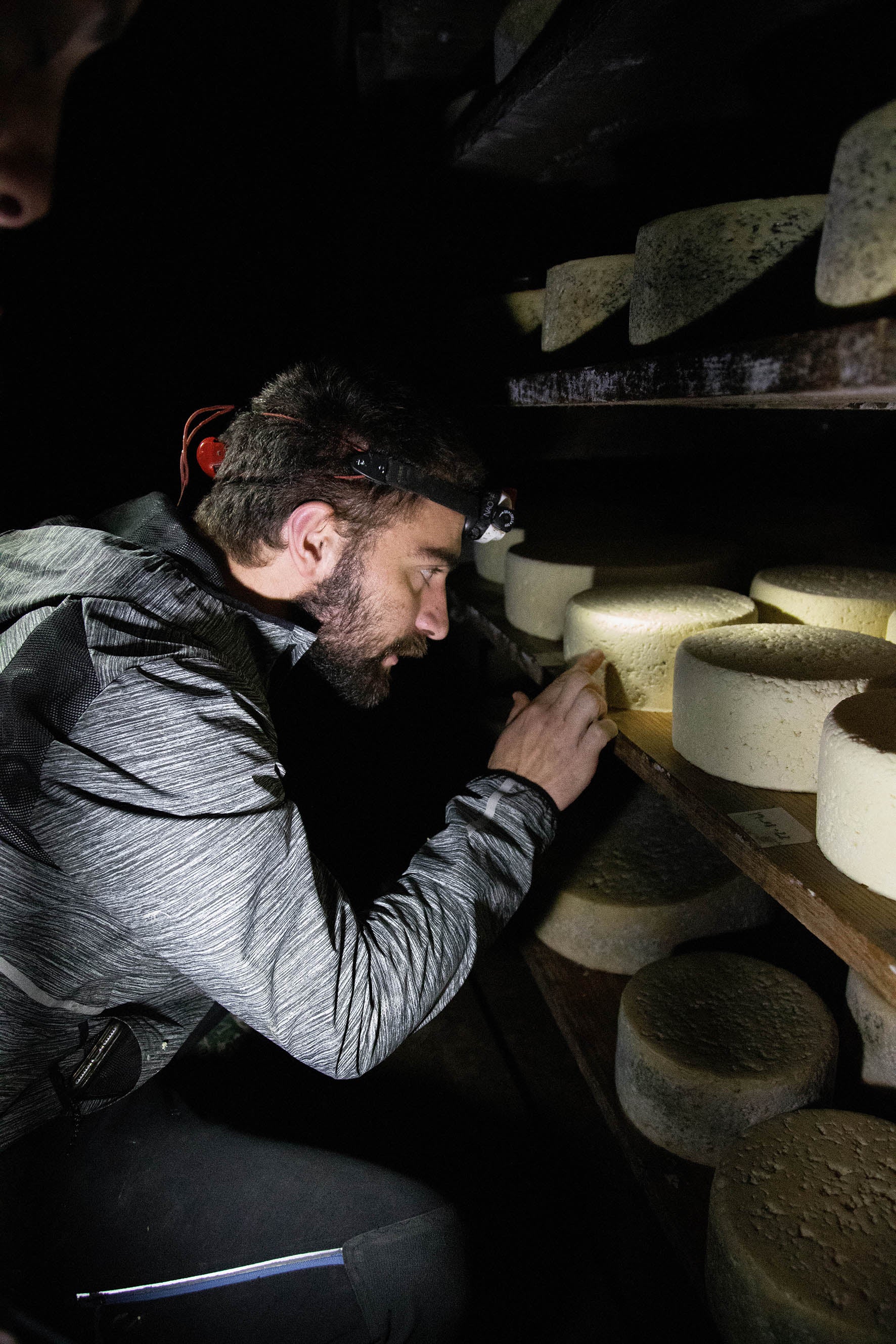 Cueva de maduración del queso Picón Bejes-Tresviso en Quesos Bejes, Liébana.