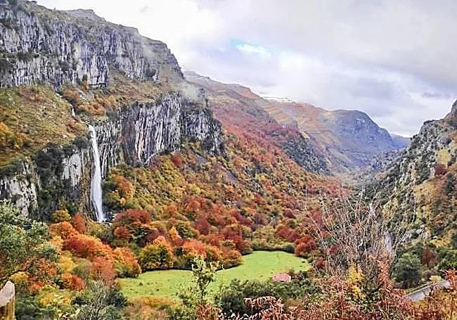 Paisaje otoñal del Valle de Buelna con castaños y luz de última hora de la tarde