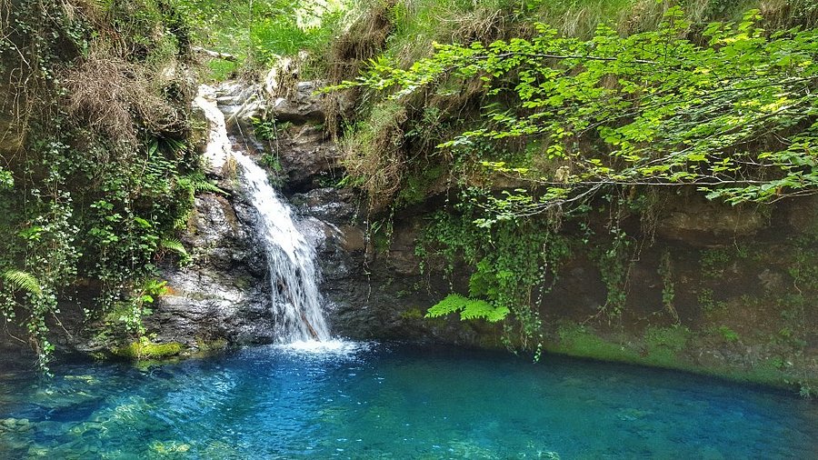 Cascada doble entre helechos y musgo dentro de un hayedo frondoso, luz filtrada entre los árboles (Cascadas de Lamiña, Ruente).