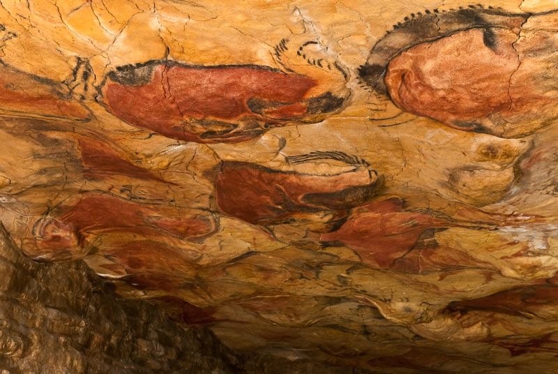 Reproducción del techo de bisontes policromados de la Neocueva de Altamira, plano general