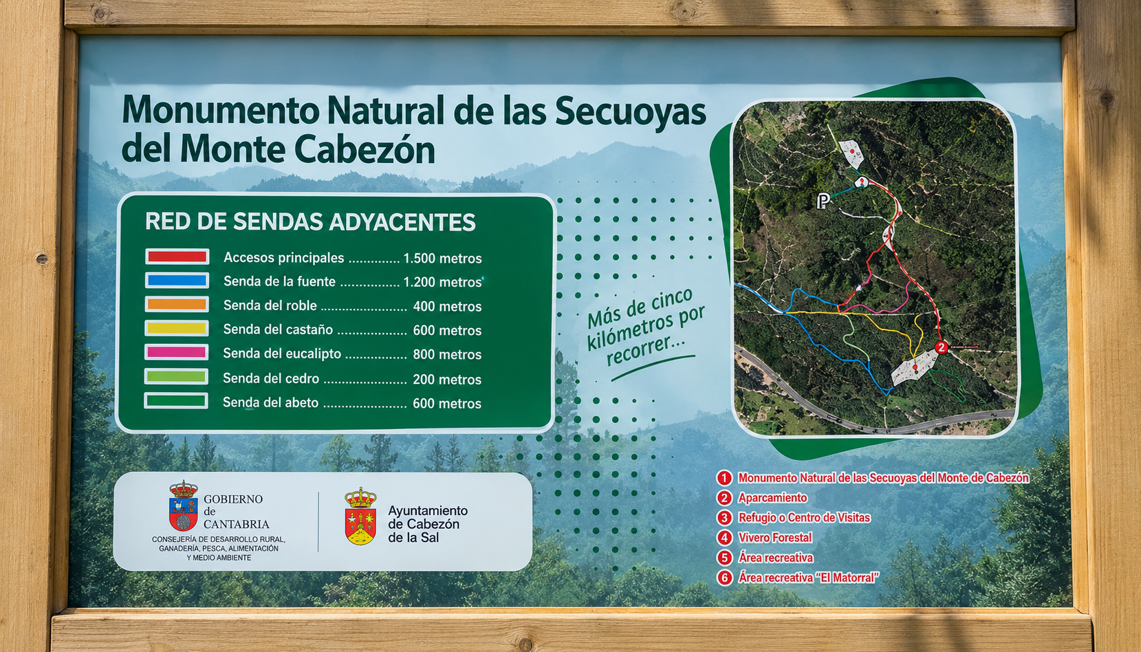 Tramo de pasarela de madera cruzando el bosque sobre suelo húmedo, en un día nublado.