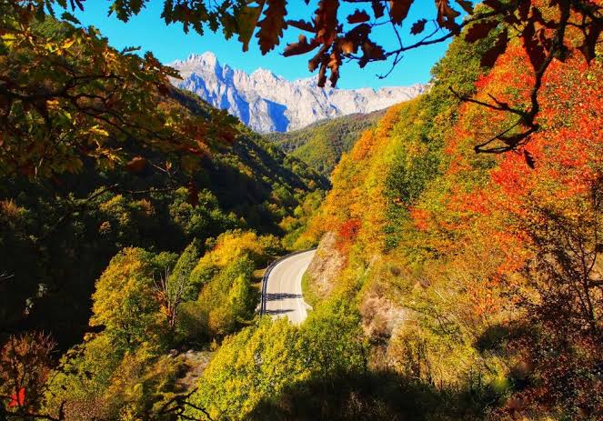 Bosque de interior de Cantabria con hojas de tonos ocres y amarillos propios del otoño.