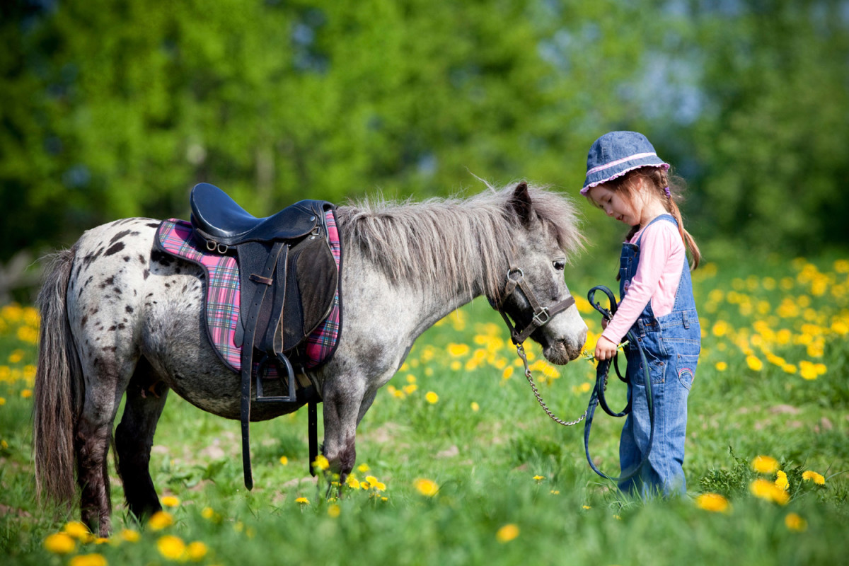 Niño pequeño montando en poni en el picadero de Evecan Safari Aventura, por la mañana.