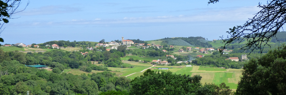 Camino rural de acceso al barrio de Soano, en Arnuero, entre prados verdes.