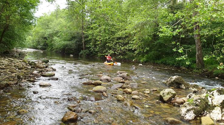 Tramo tranquilo del río Miera en Viaña con una poza recogida entre rocas y vegetación de ribera