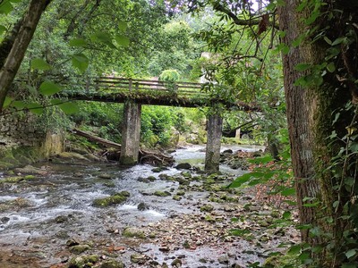 Puente de piedra sobre el río Aguanaz en la Fuente del Francés, Hoznayo, con vegetación frondosa alrededor