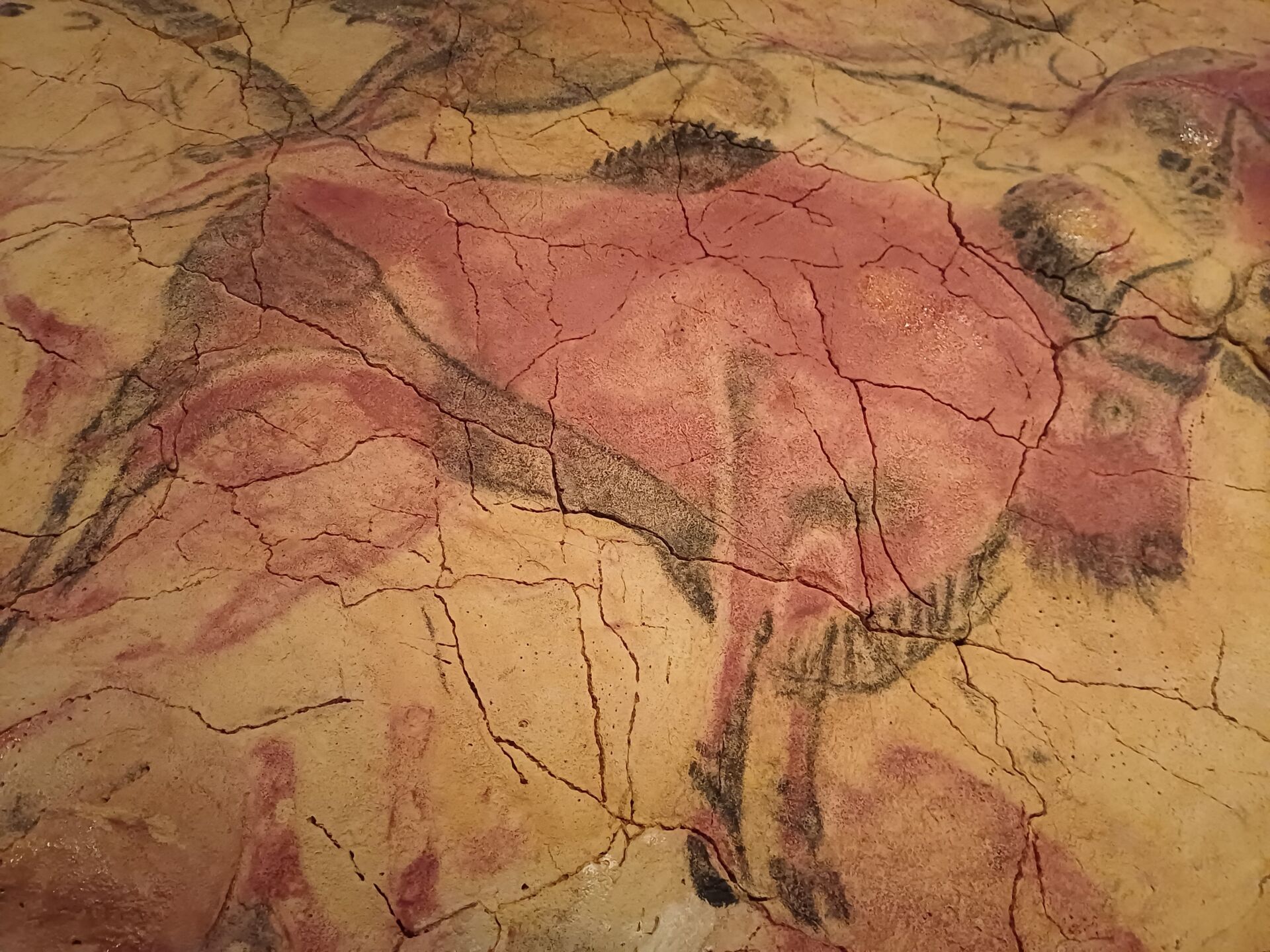 Sala principal de la Neocueva de Altamira con la réplica del techo de bisontes policromados iluminada tenuemente.