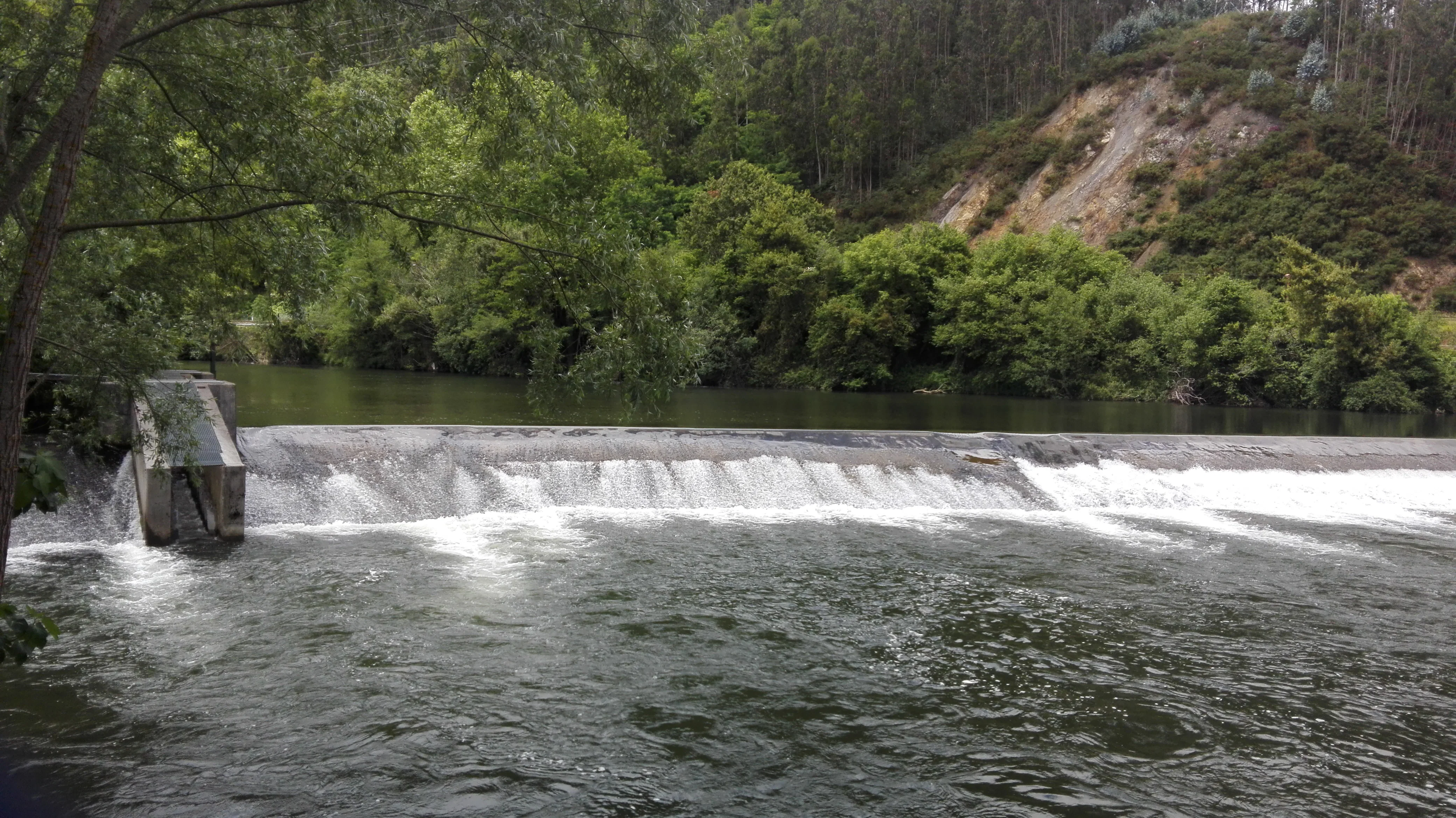 Vista general del valle boscoso del río Asón a su paso por Ampuero, con aguas tranquilas visibles entre la vegetación de ribera, luz de mañana.