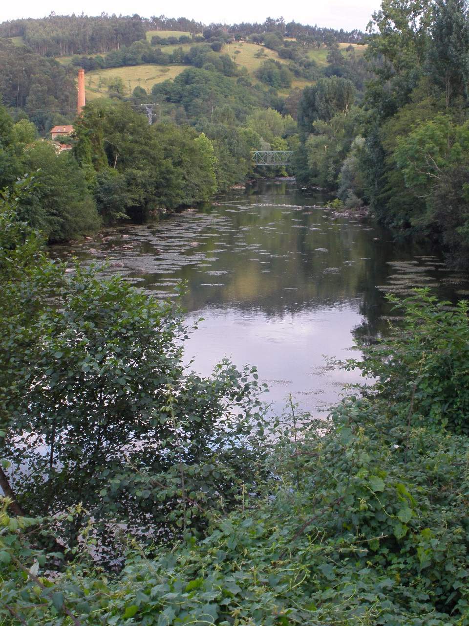 Tramo de aguas mansas del río Asón entre Udalla y Ampuero, con pequeñas piraguas de plástico visibles río abajo, entorno de bosque de ribera cerrado.