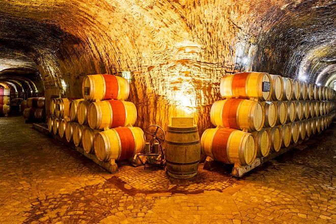 Viñedo en la costa de Cantabria con el Cantábrico al fondo, luz de tarde