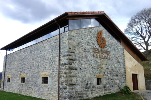 Fila de viñedo en los Valles Pasiegos, Bodegas Sel d'Aiz, con el valle verde al fondo