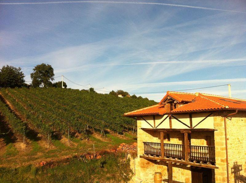 Sala de cata de Bodegas Vidular con vino, queso y embutido cántabro sobre la mesa