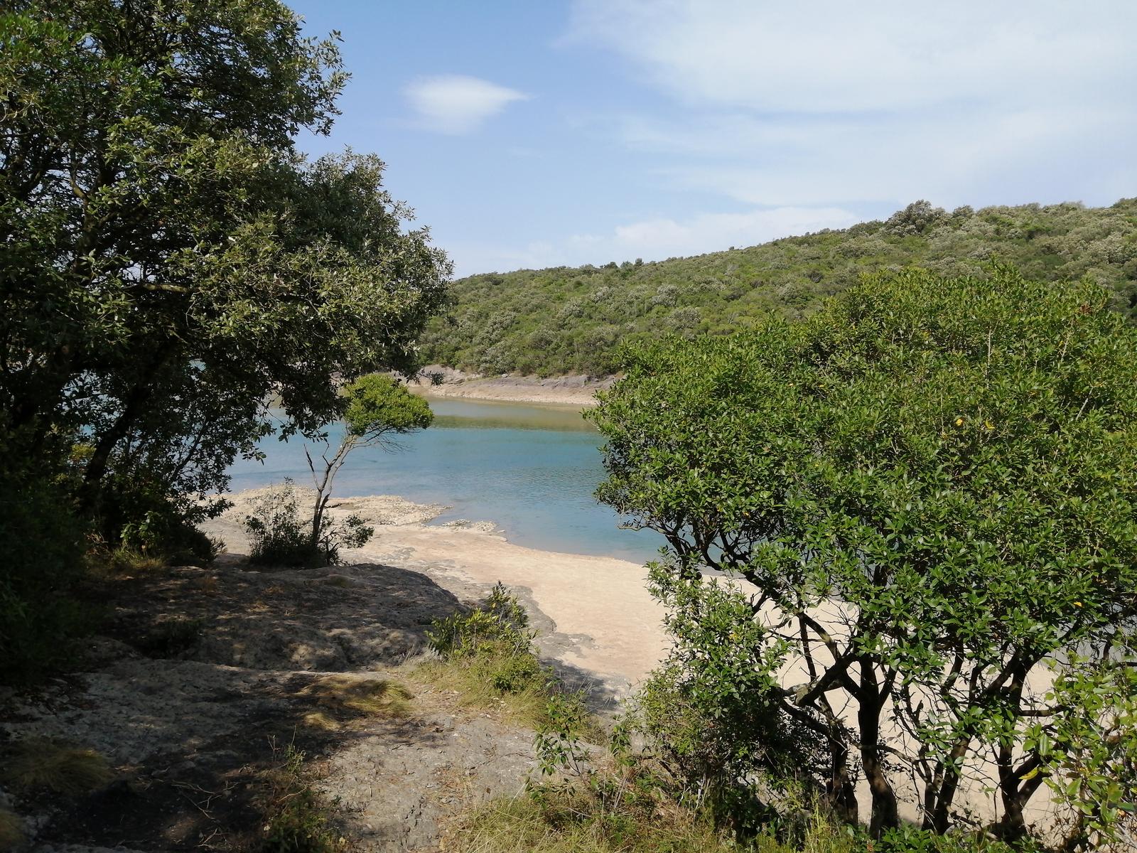 Tramo del sendero peatonal de la Ría de Ajo entre eucaliptales, luz de tarde.