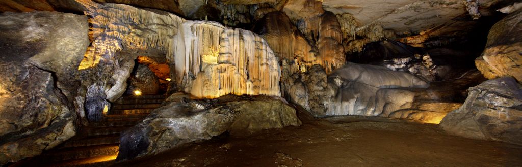 Grupo reducido de visitantes con guía observando una pintura de reno en la Cueva de Las Monedas.