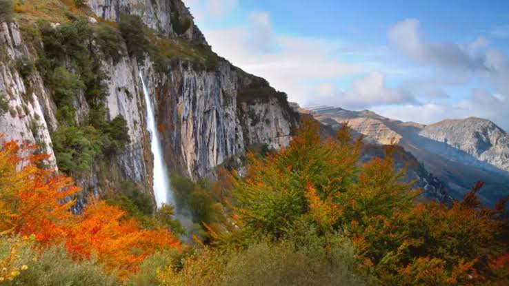 Sendero de bosque de hayas y robles del interior de Cantabria con hojas de otoño en tonos ocres, cerca de los Collados del Asón