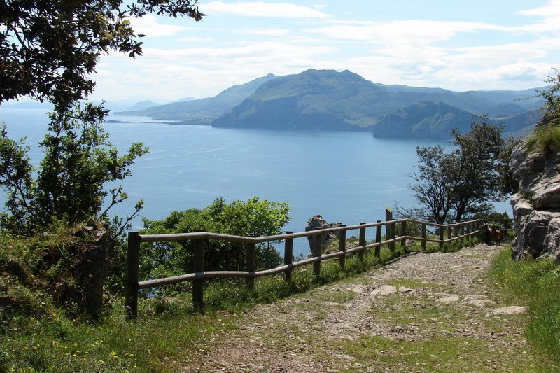 Pasarela de madera entre las marismas de Santoña con aves acuáticas en primer plano