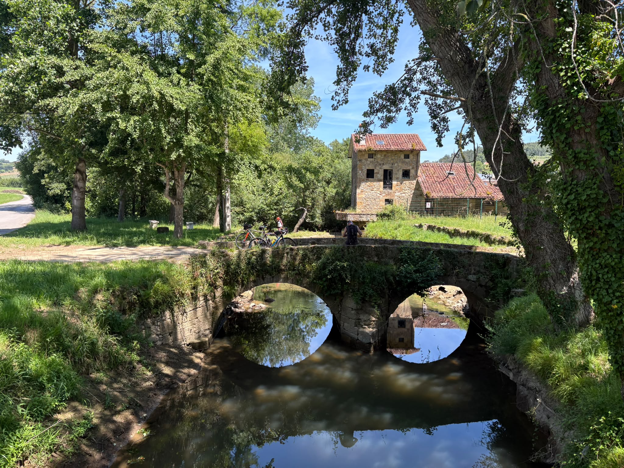 Fachada de la iglesia románica de Santa María de Bareyo junto a la encina centenaria